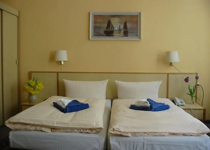 Pensionat Hotel-pension Spree